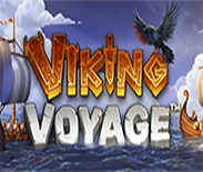 Viking Voyage